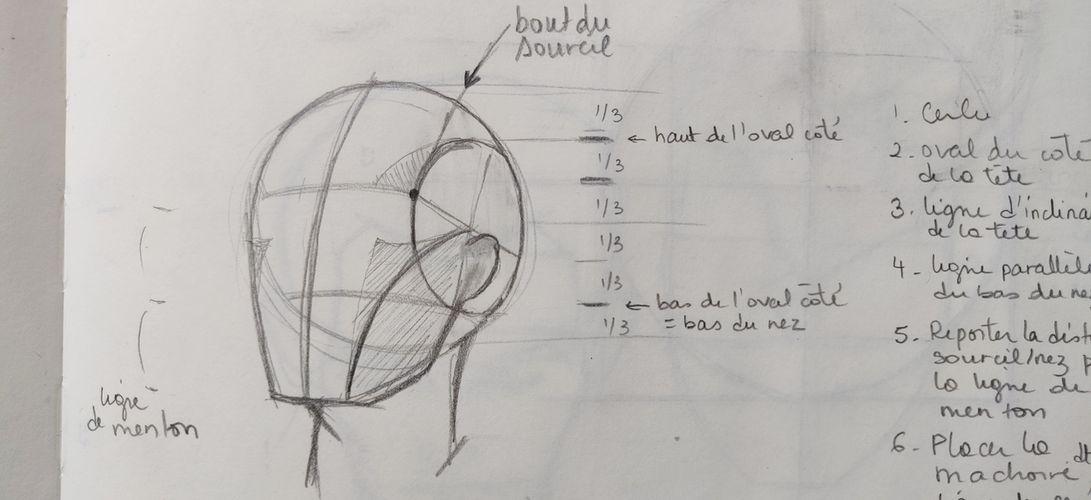 Reprendre les bases du dessin