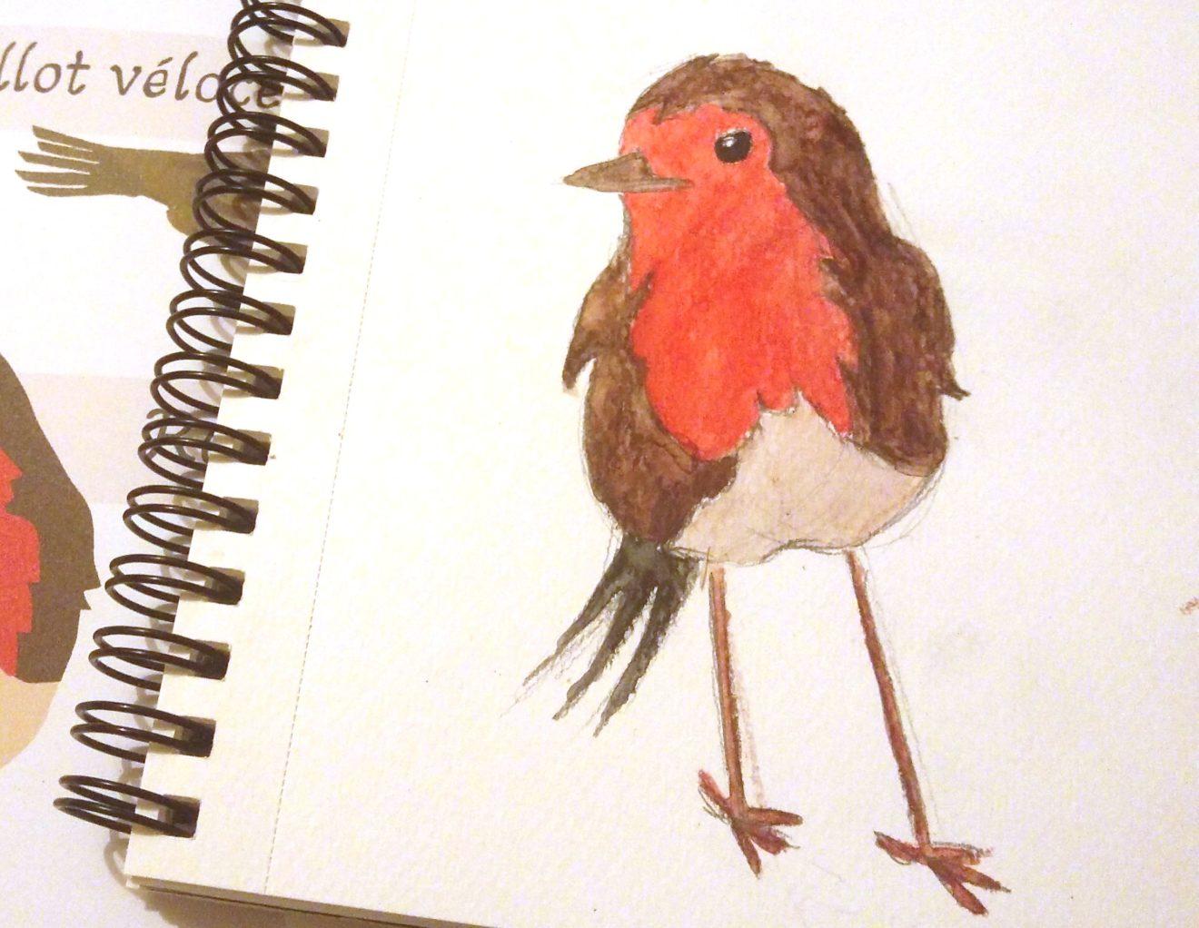Dessin d'un rouge-gorge à l'aquarelle (on aperçoit un bout du modèle en dessous)