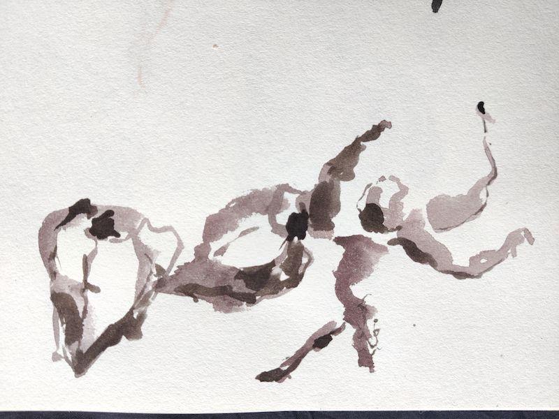 Croquis rapide de trois physalis à l'encre noire
