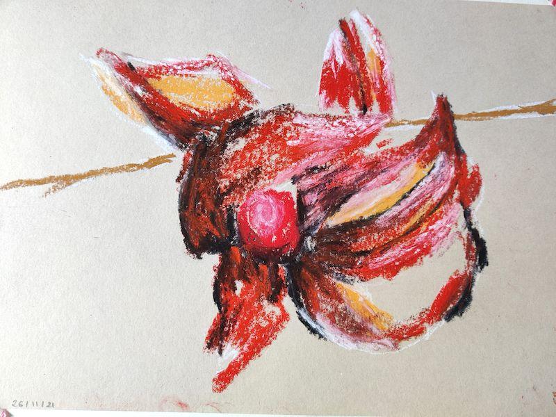 Dessin aux pastels d'une fleur de physalis ouverte