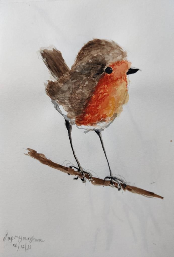 Dessin à l'aquarelle d'un rouge-gorge sur une branche