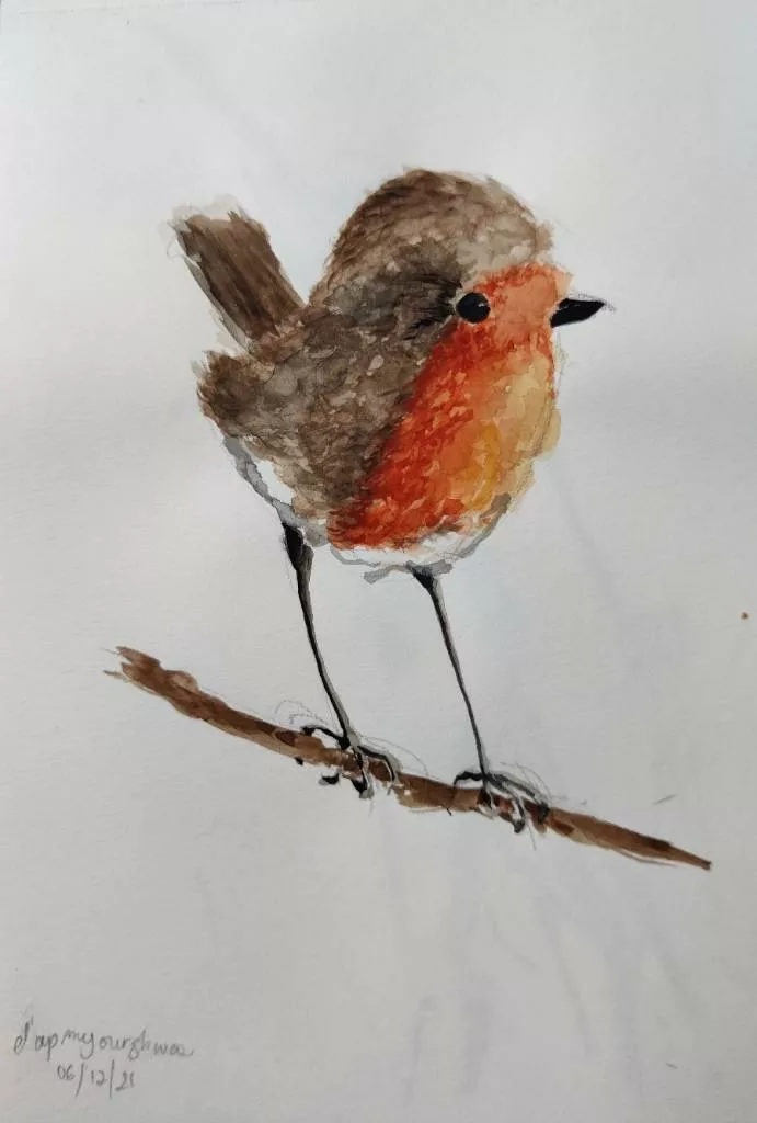 Dessin à l'aquarelle d'un rouge-gorge sur une branche