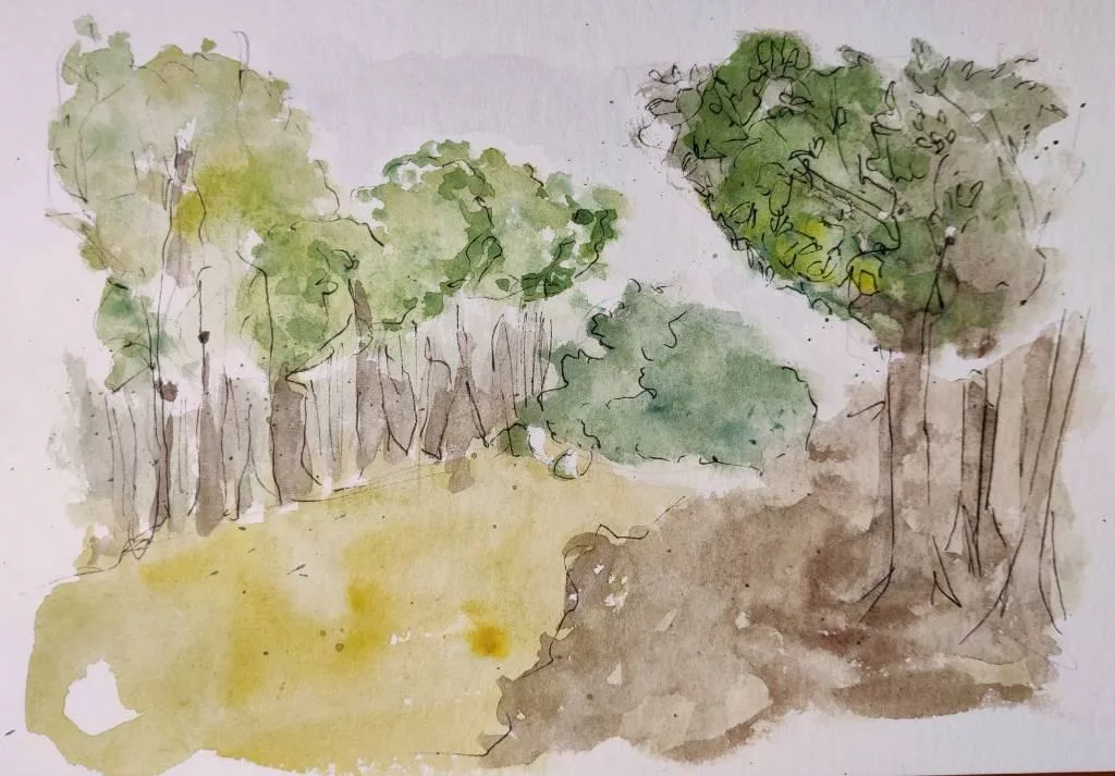 Dessin très schématique d'arbres entourrant une étendue d'herbe (étrangement jaune)