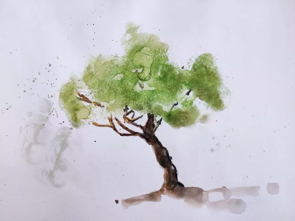 Arbre dont le tronc est très foncé avec un feuillage vert tendre. Des petites tâches.