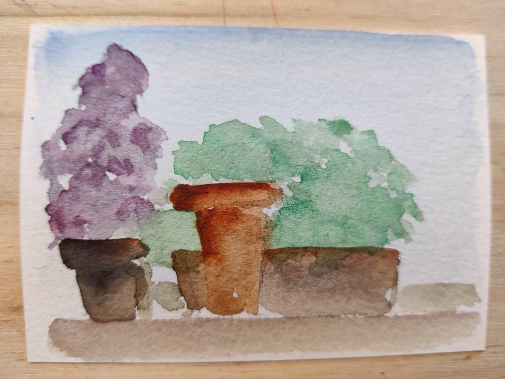 Aquarelle en cours, trois pots de fleurs de forme et de taille différentes