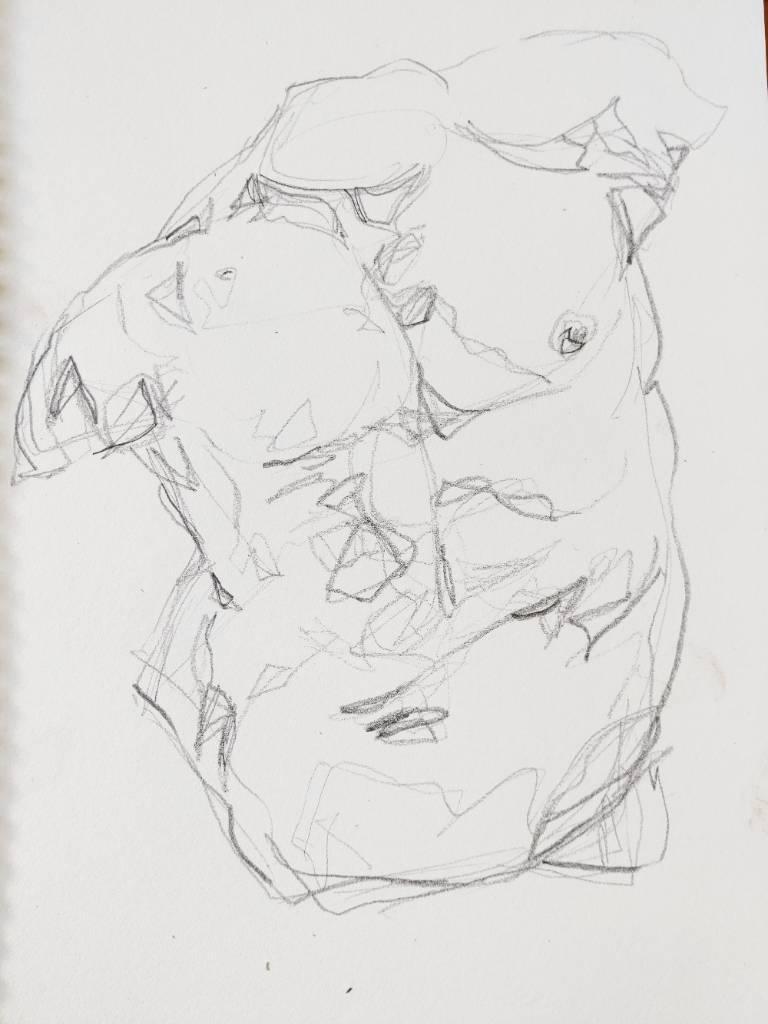 Croquis au crayon du torse d'un homme (tête et bras coupés)