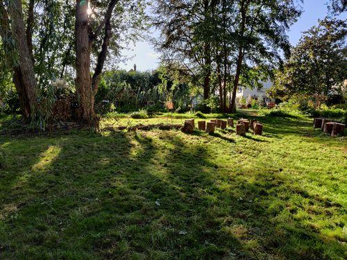 Au soleil couchant, une lumière rasante met en valeur une petite étendue d'herbe, du land art avec quelques tronçons de bois, des arbres et, dans le fond, une batisse