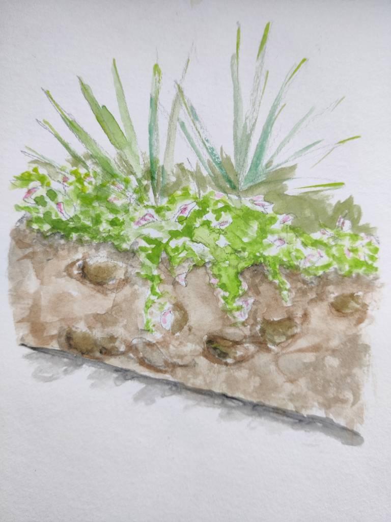 Aquarelle de fleurs et plantes au-dessus d'un muret