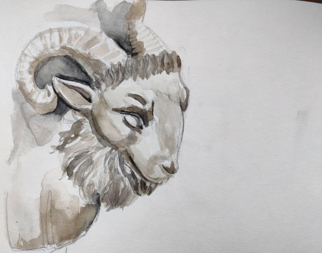 Croquis à l'aquarelle — camaïeu de brun-gris — d'une sculpure sur un vase d'un bouc
