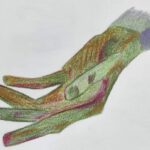 Dessin aux crayons de couleur représentant une main tendue