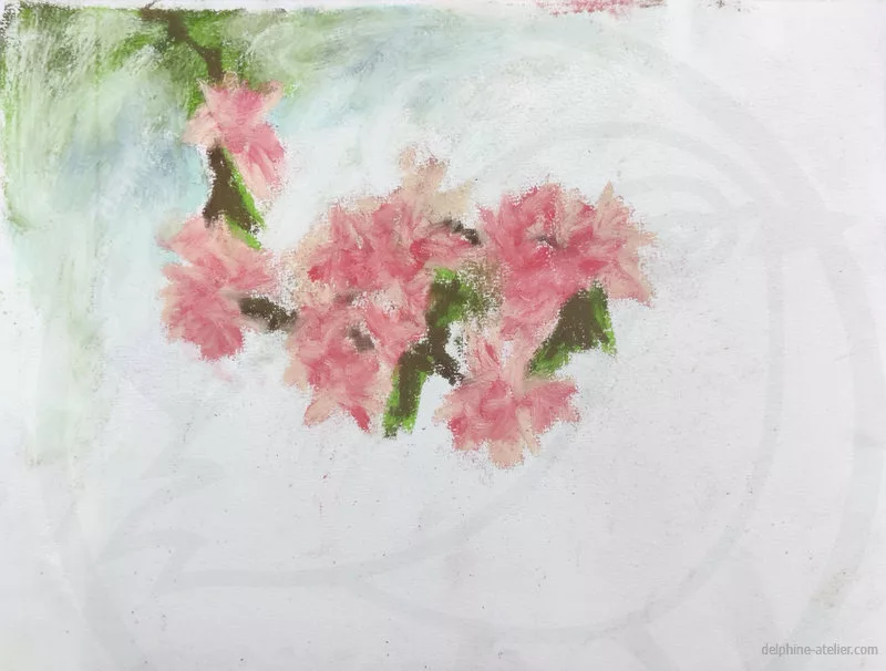 Dessin aux pastels d'une branche descendant avec des "pompons" de fleurs roses et quelques feuilles
