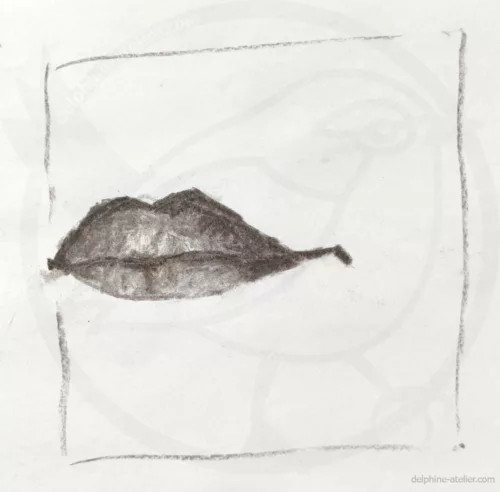 Dessin d'une bouche en gros plan avec juste un cadre autour (la bouche dépasse un peu d'un côté)