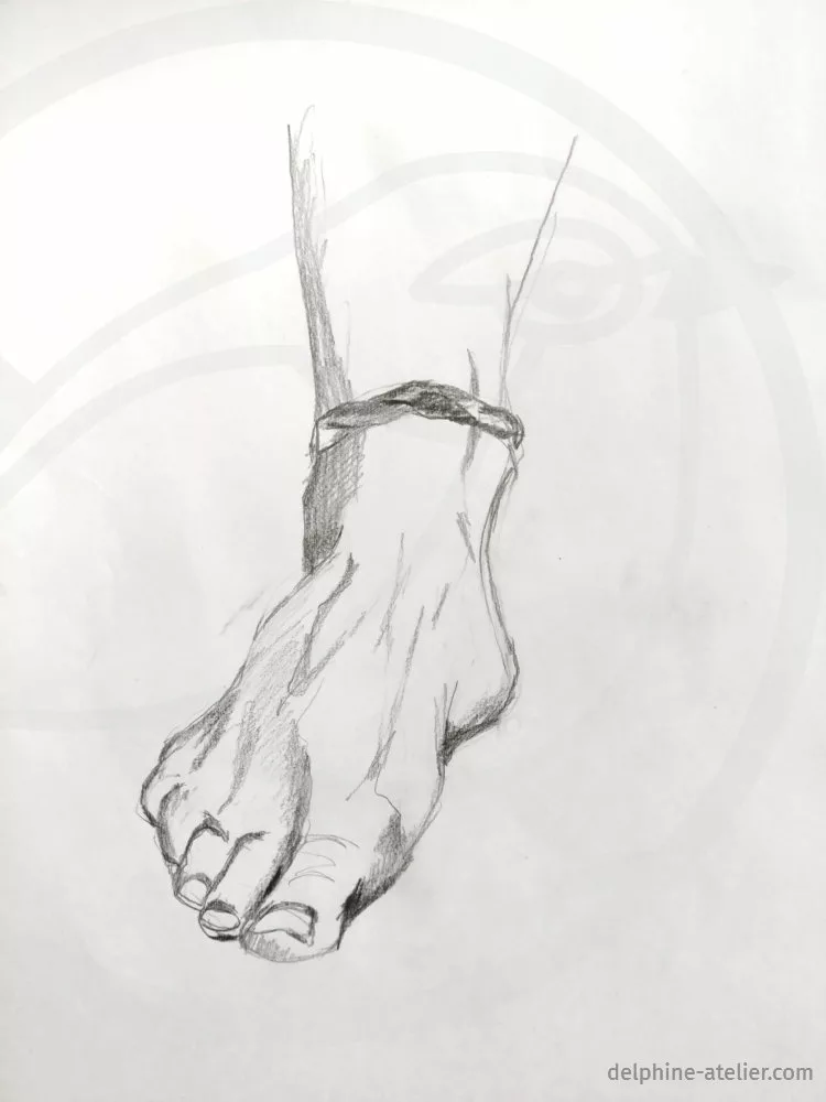 Dessin d'un pied vu quasiment de face