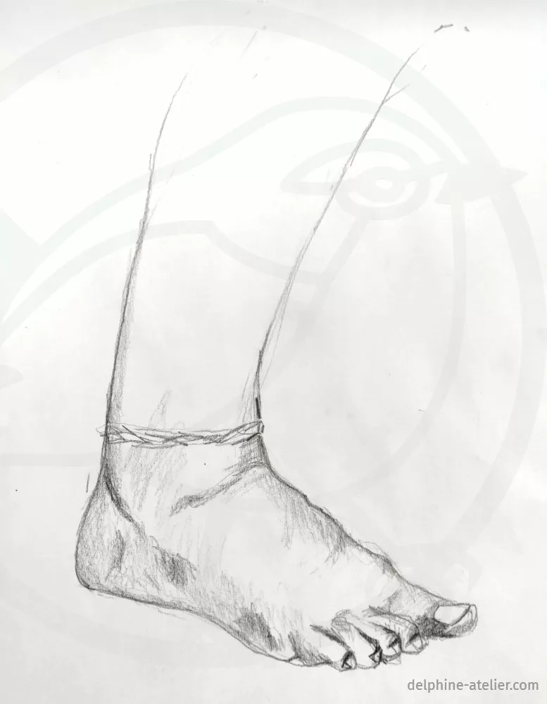 Dessin d'un pied de profil
