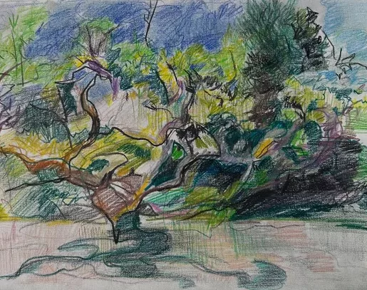 Dessin d'un arbre aux crayons de couleurs avec un trait vif, foisonnant et affirmé