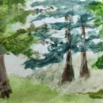 Croquis à l'aquarelle (et quelques traits de feutre fin noir) de cinq arbres de trois essences différentes, chacune sur un plan