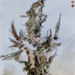 Croquis d'une racine de buisson posée côté souche ce qui donne une forme plutôt en pointe vers le haut (bon, en vrai, c'est pas très lisible, hein !)
