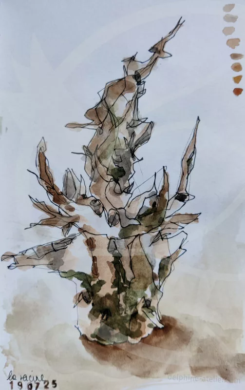 Croquis d'une racine de buisson posée côté souche ce qui donne une forme plutôt en pointe vers le haut (bon, en vrai, c'est pas très lisible, hein !)