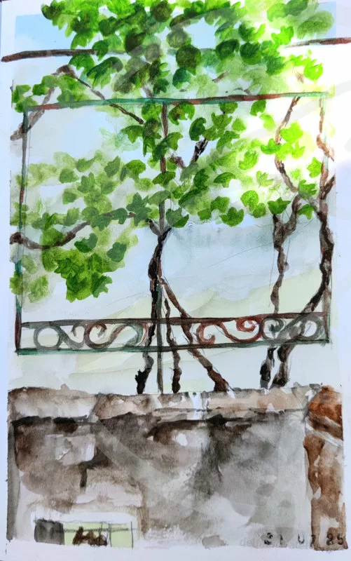 Croquis à l'aquarelle d'une vigne sur un montant en fer (si on vous demande ce qu'est le truc en bas, c'est un muret)