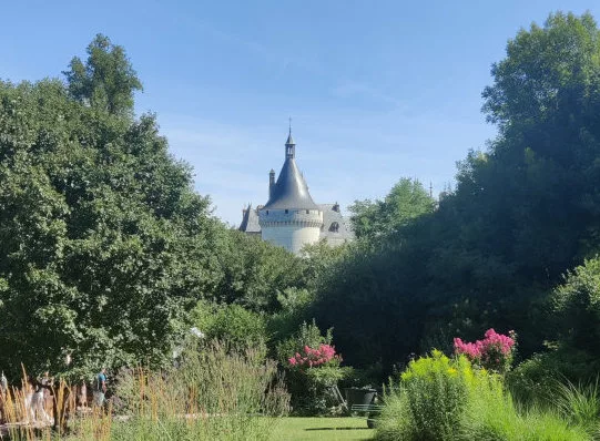 La tour du château de Chaumont qui dépasse entre des arbres. Au premier plan, une pelouse, des plantes et des fleurs