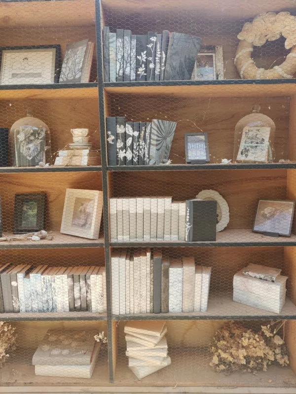 Une bibliothèque en bois avec des livres et des bibelots