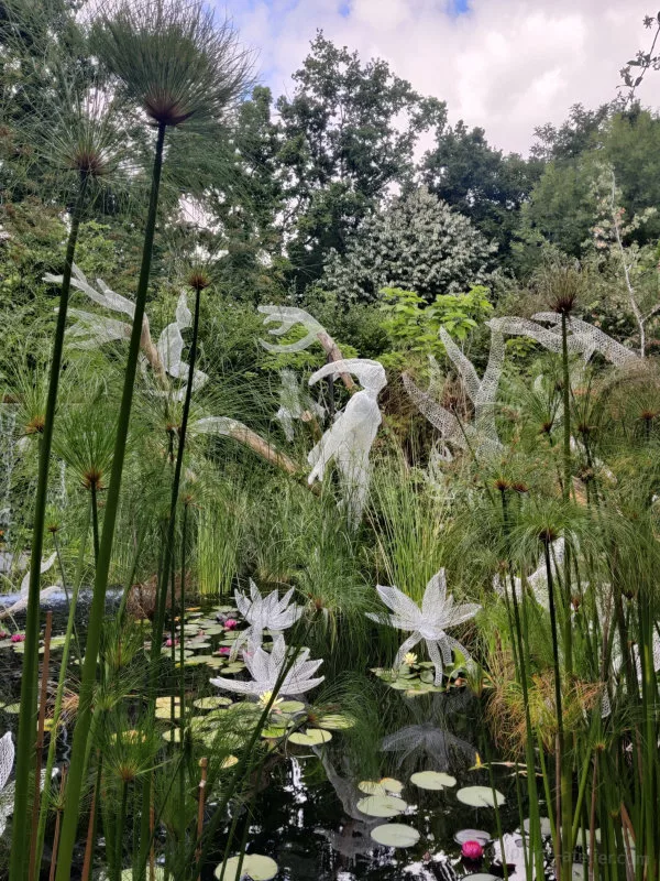 Dans un nature luxuriante à tous les plans et avec une marre à nénuphars on voit des silhouettes blanches, transparentes (en fait, c'est fait de grillages) qui évoluent dans le paysage. Il y a aussi des nénuphars géants.