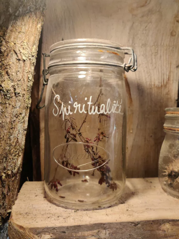 Un pot en verre dans lequel on voit une plante et sur lequel il y a écrit à la main "Spiritualité"