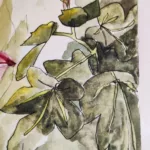 Croquis au feutre et à l'aquarelle de quelques feuilles de figuier