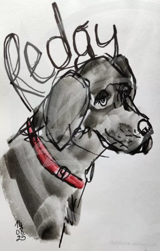 Croquis rapide au feutre épais et à l'aquarelle noire (seul le collier est rouge) d'un chien. Son nom est écrit à moitié caché derrière sa tête : Redgy
