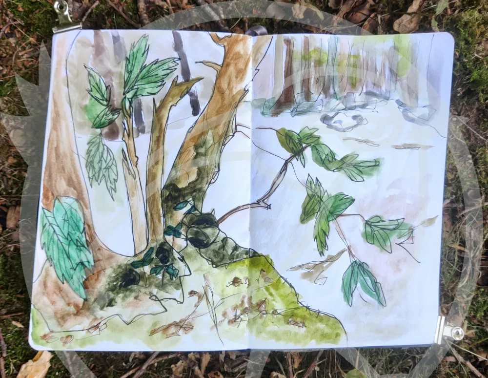 Un bois dessiné au feutre et à l'aquarelle
