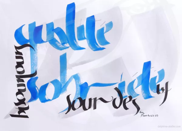 Calligraphie bleues ou noires des mots : "qualité", "bisounours", "sobriété", "sourd.es" et "lsf" + signature "dm" et "Paris Web 25"