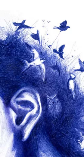 Gros plan sur un dessin fait au stylle bille : on voit une oreille, une chevelure et des animaux (hibou, hirondelle et d'autres oiseaux)
