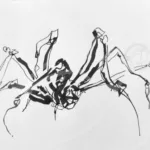 Une araignée stylisée à l'encre noire aux traits fins et épais