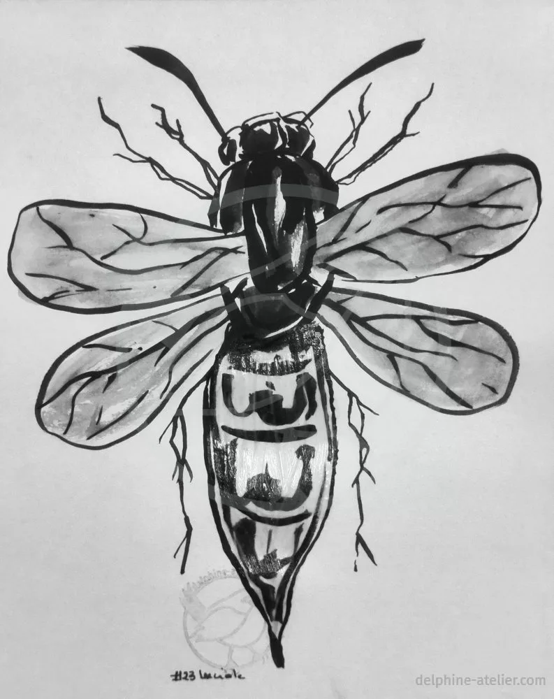 Une luciole vue du dessus dessinée à l'encre noire