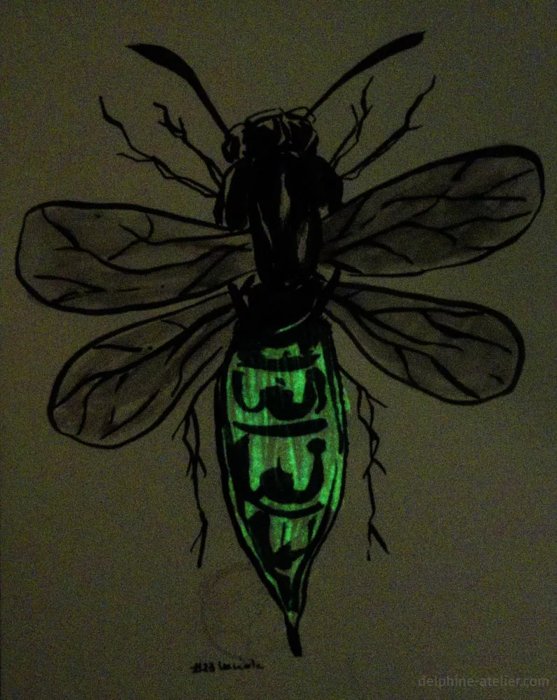Photo du dessin d'une luciole prise dans le noir ; son abdomen est phosphorescent
