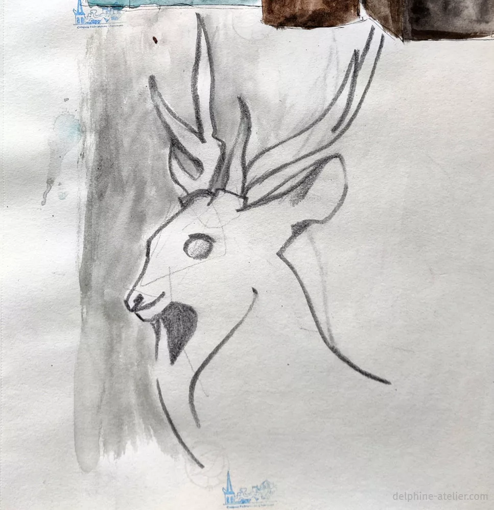 Une tête de cerf à la mine de plomb