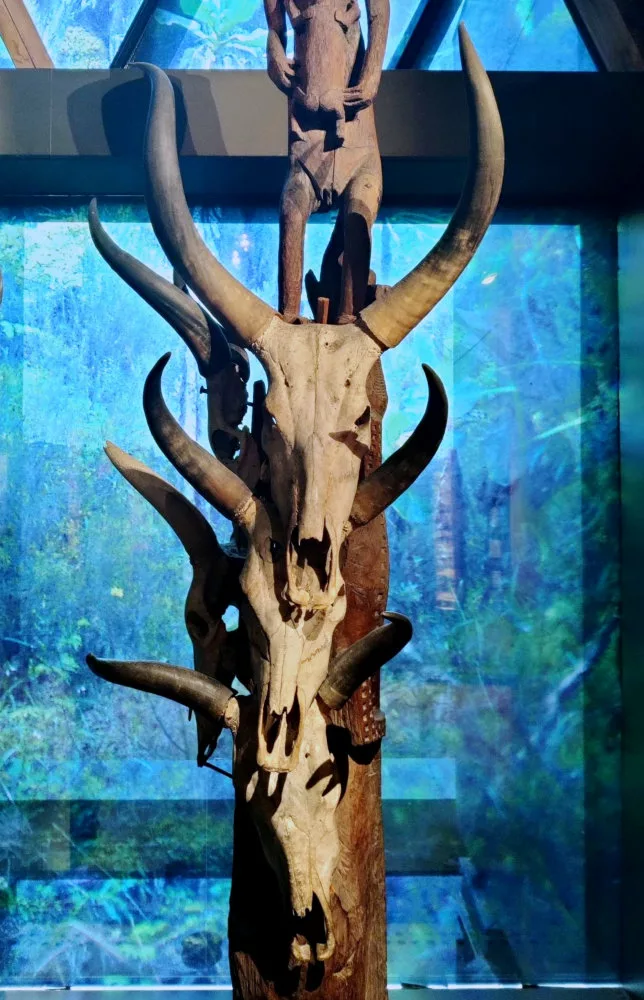 Des crânes de bœufs (?) les uns au-dessus des autres