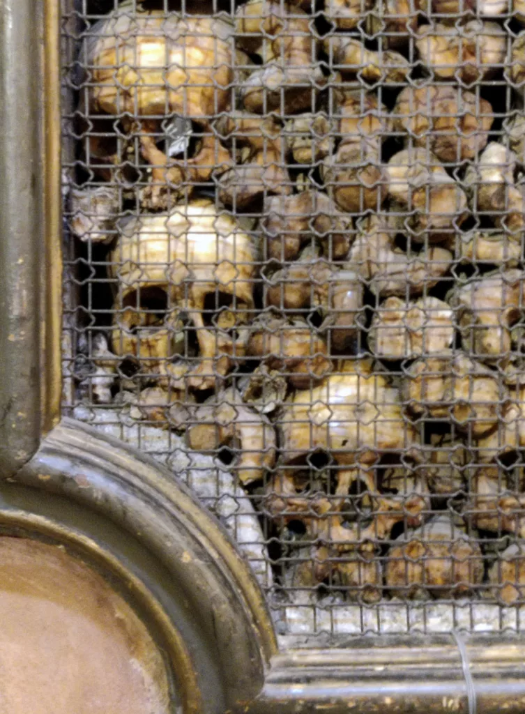 Des crânes maintenus verticalement derrière une grille