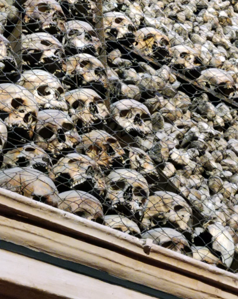 Des crânes maintenus verticalement derrière une grille